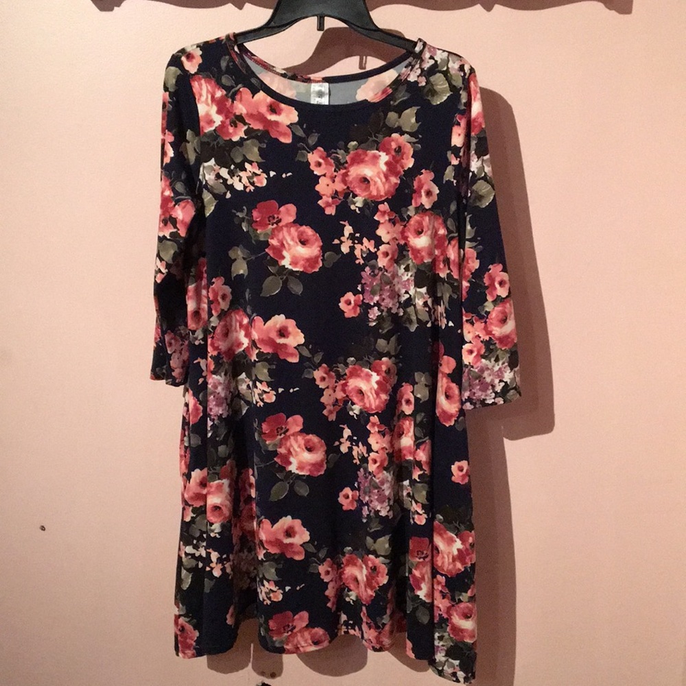 Honey and Lace swing dress, large